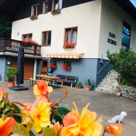 Haus-Erzberg Bed & Breakfast Vordernberg ภายนอก รูปภาพ