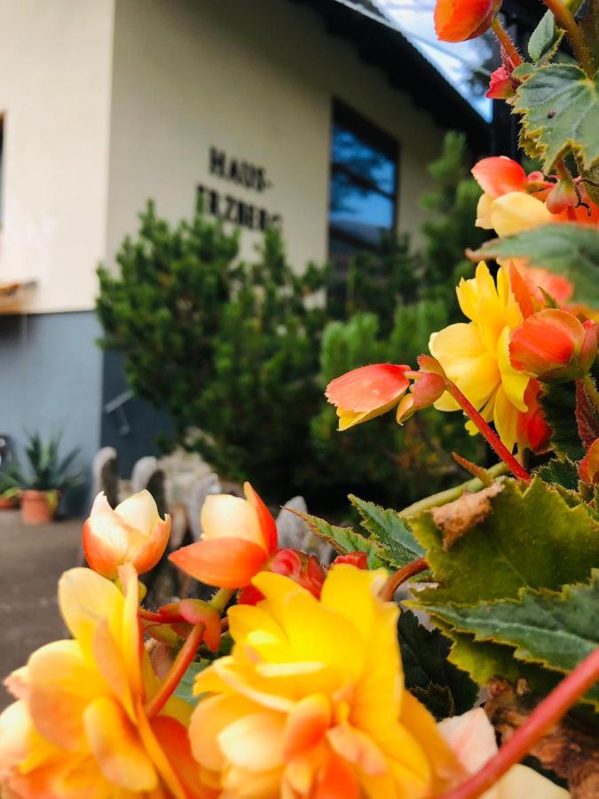Haus-Erzberg Bed & Breakfast Vordernberg ภายนอก รูปภาพ