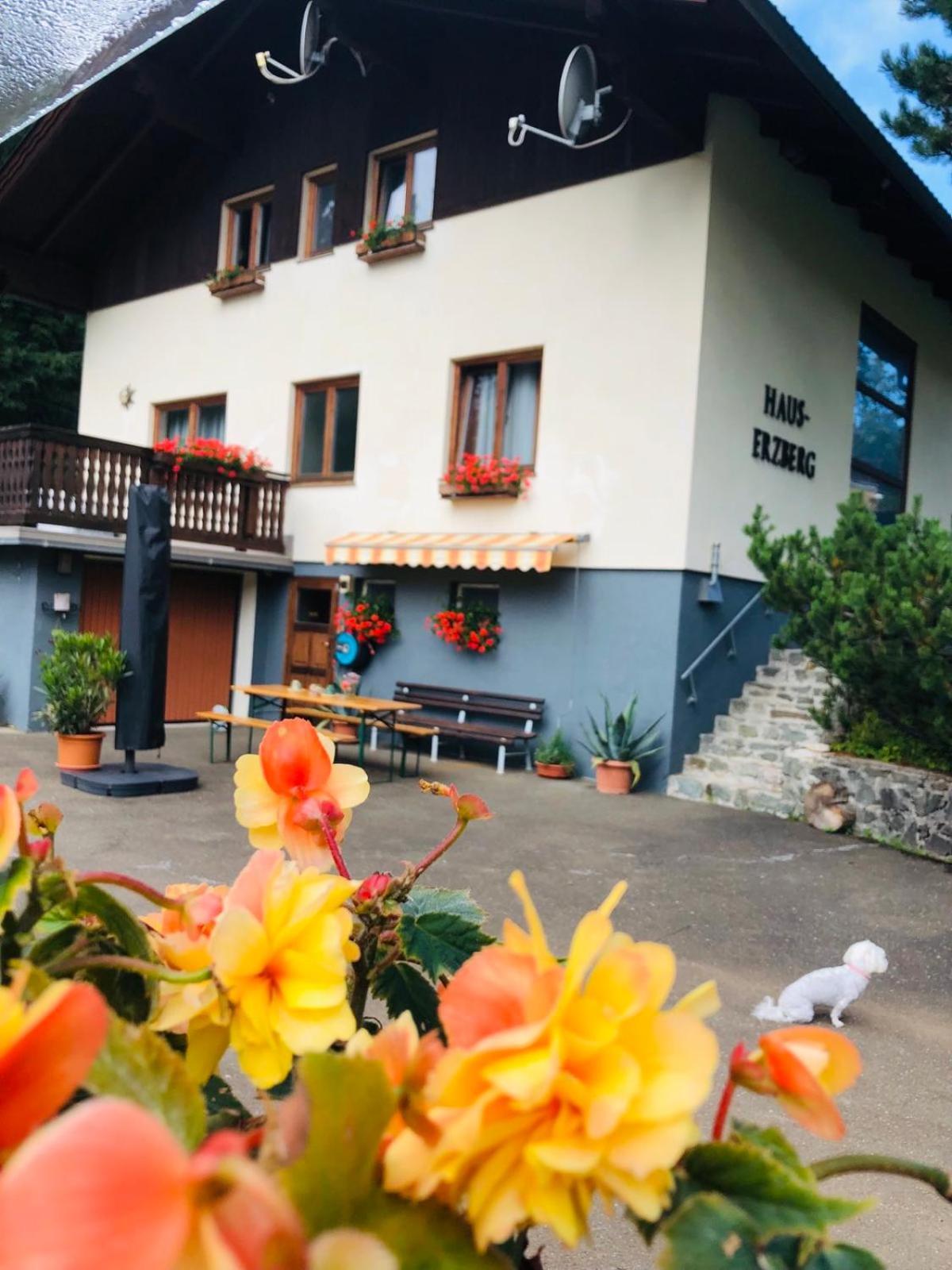 Haus-Erzberg Bed & Breakfast Vordernberg ภายนอก รูปภาพ