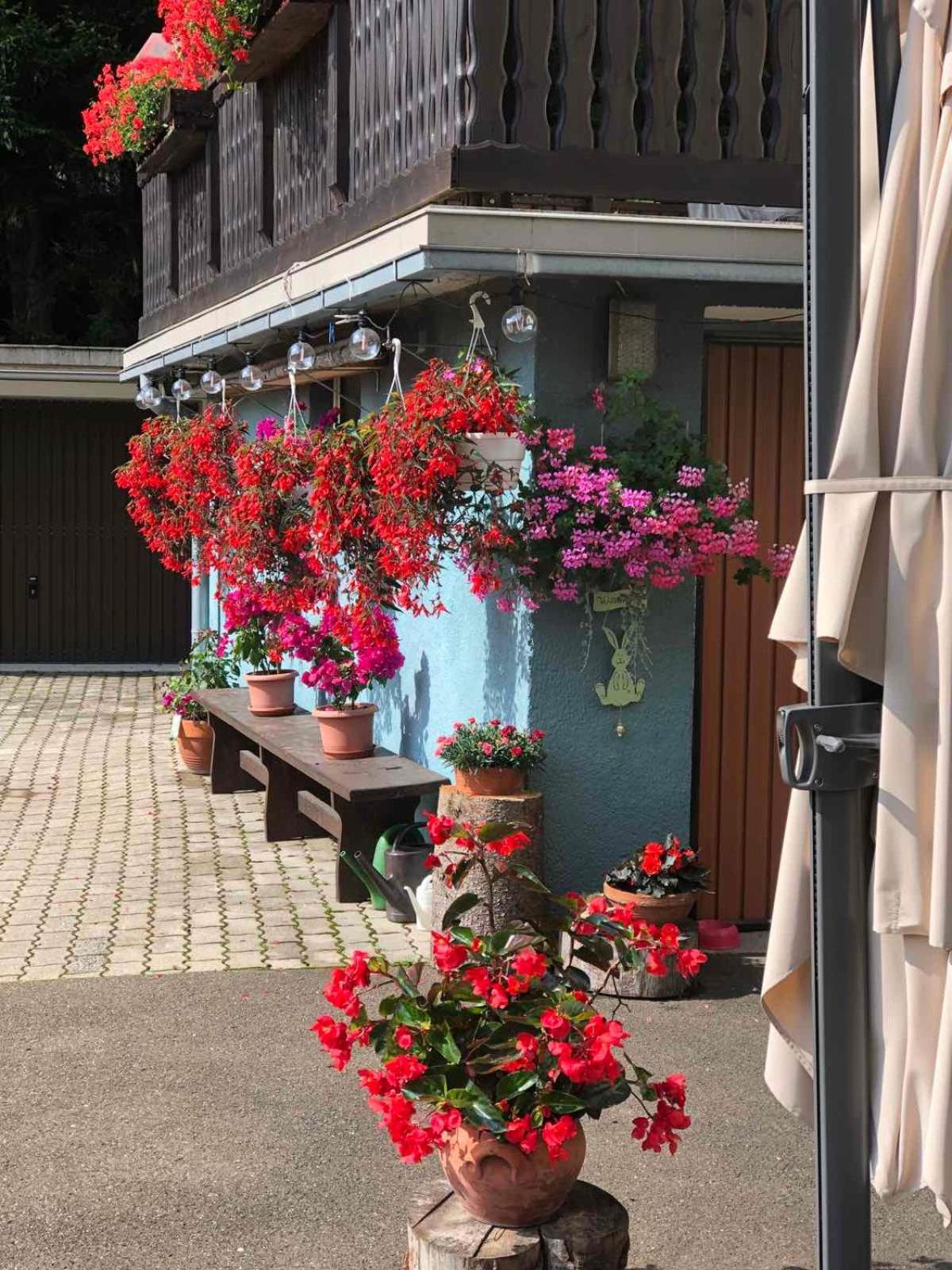 Haus-Erzberg Bed & Breakfast Vordernberg ภายนอก รูปภาพ